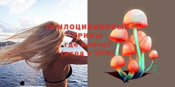 стаф Зеленодольск