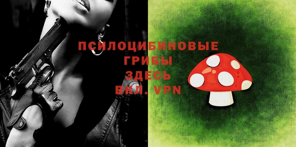 стаф Зеленодольск