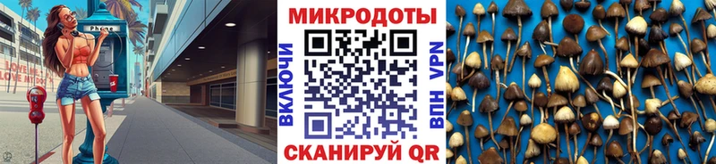 Галлюциногенные грибы мицелий  Купить где  Тотьма 